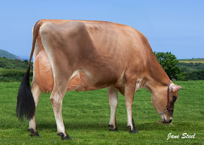 Bluegrass Excitation Prissy Polly